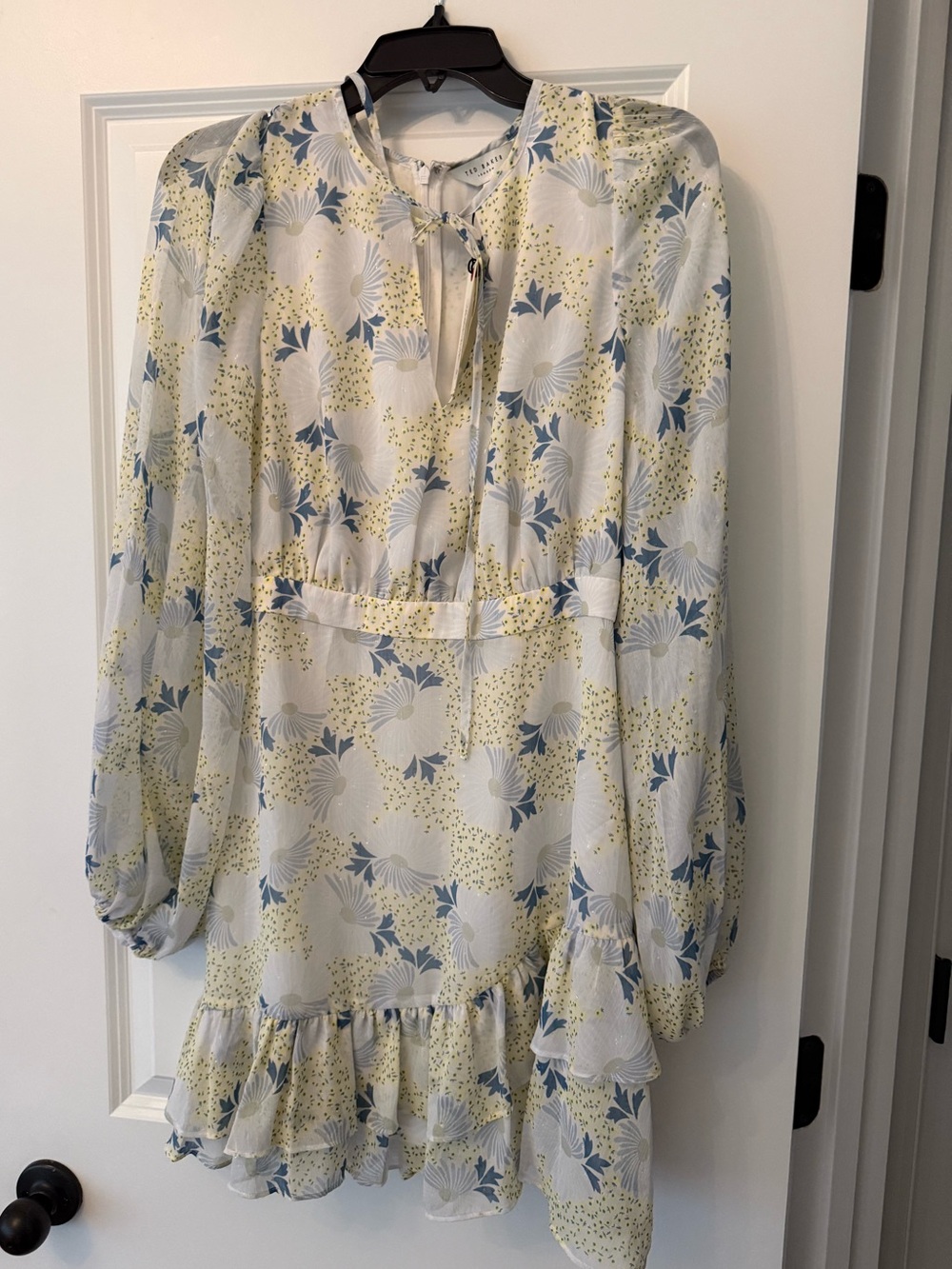 NWT Ted Baker London Style: Suziiee Floral Ruffle Mini Dress Size - Picture 3 of 6